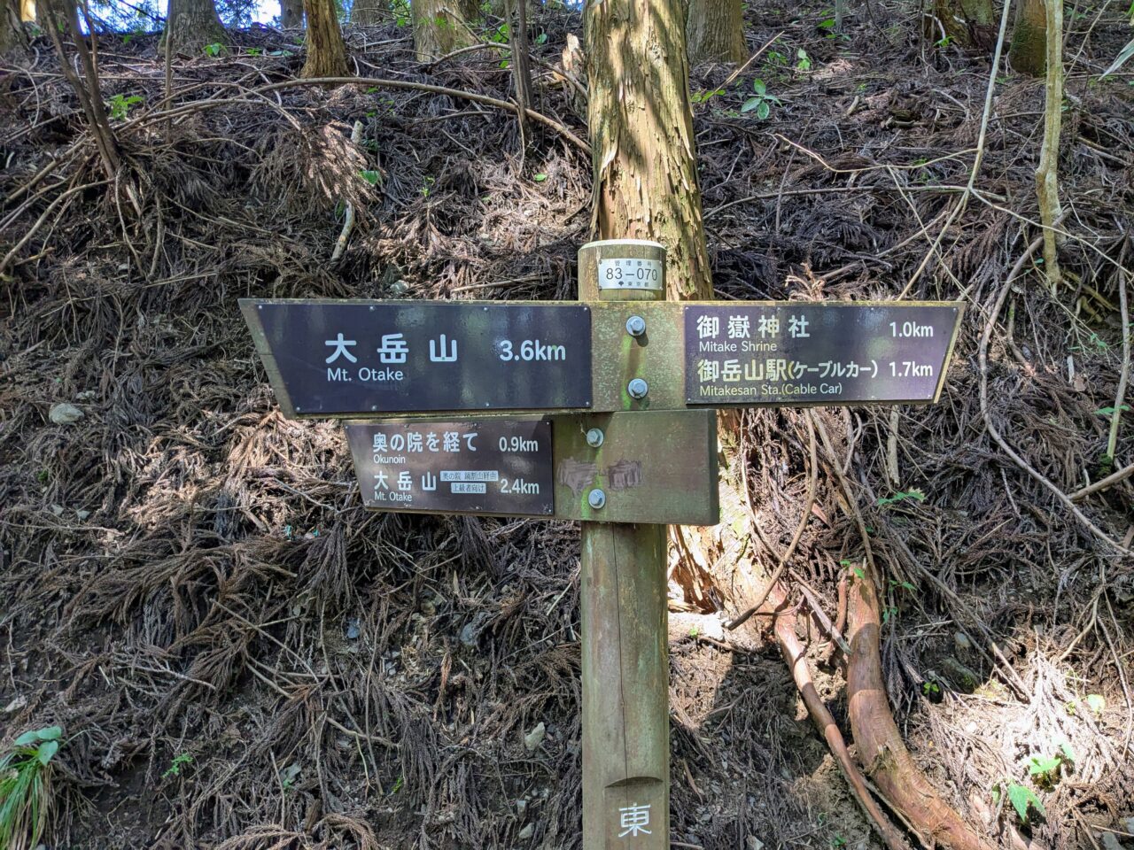 御岳山(ロックガーデン)