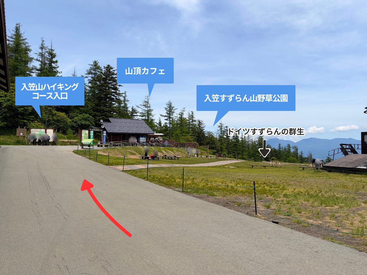 入笠山(入笠すずらん山野草公園)