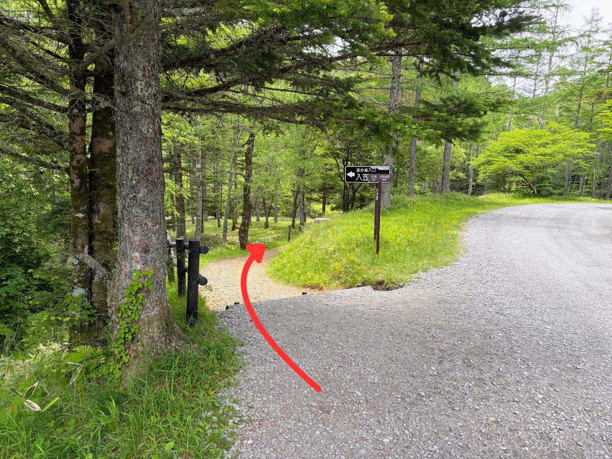 入笠山(入笠湿原から花畑(入笠山登山口))