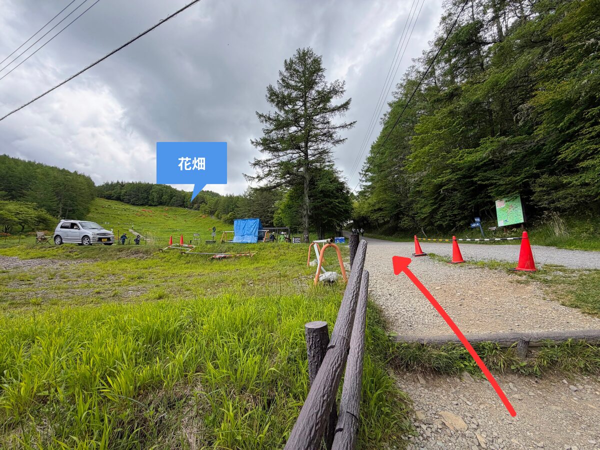 入笠山(入笠湿原から花畑(入笠山登山口))