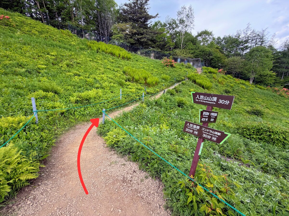 入笠山(入笠湿原から花畑(入笠山登山口))