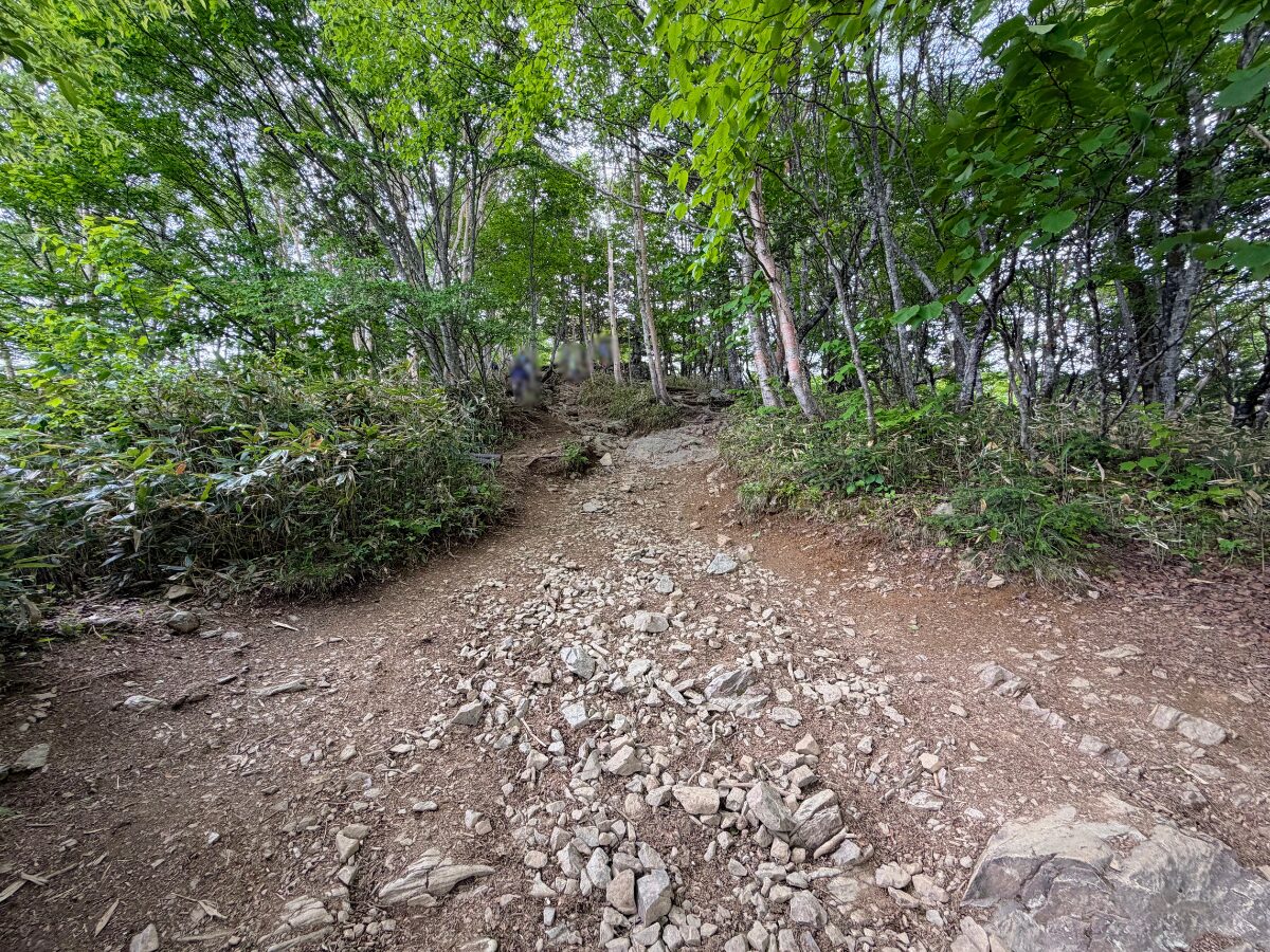 入笠山(花畑(入笠山登山口)から入笠山山頂)