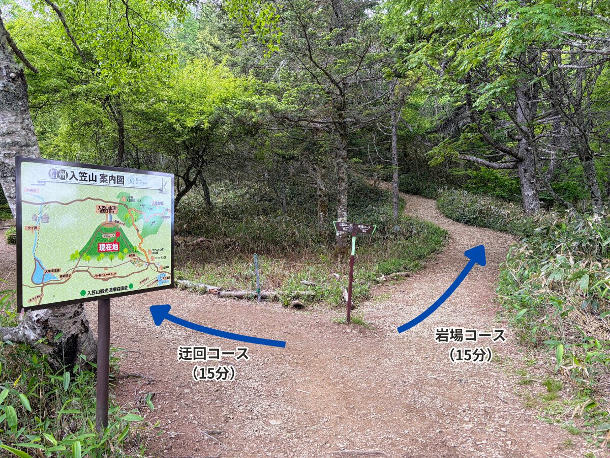 入笠山(花畑(入笠山登山口)から入笠山山頂)