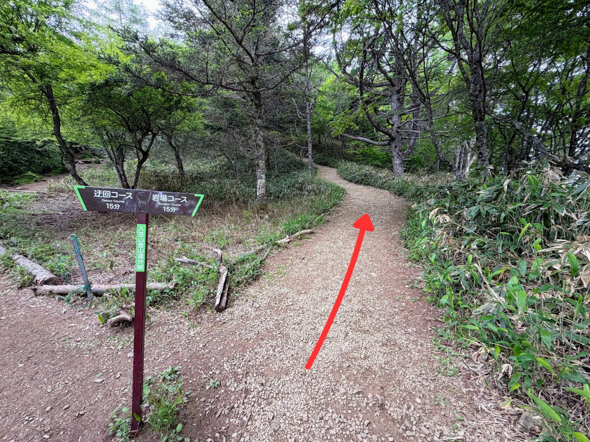 入笠山(花畑(入笠山登山口)から入笠山山頂)
