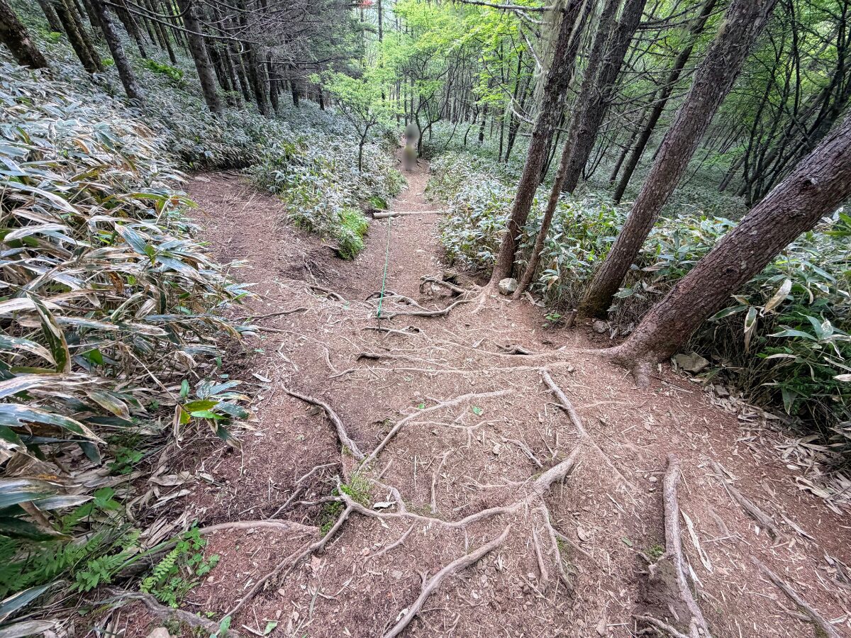 入笠山(入笠山山頂からマナスル山荘)