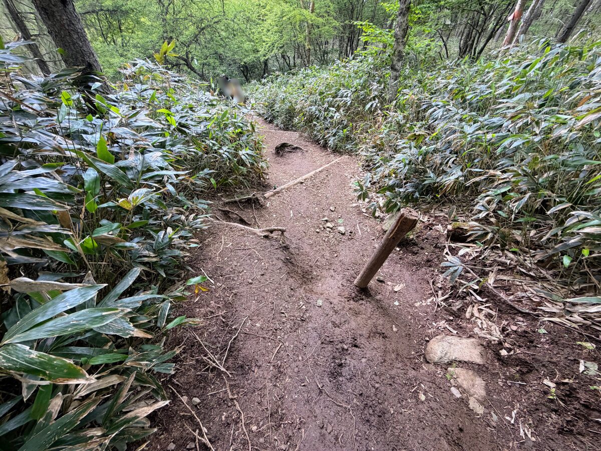 入笠山(入笠山山頂からマナスル山荘)