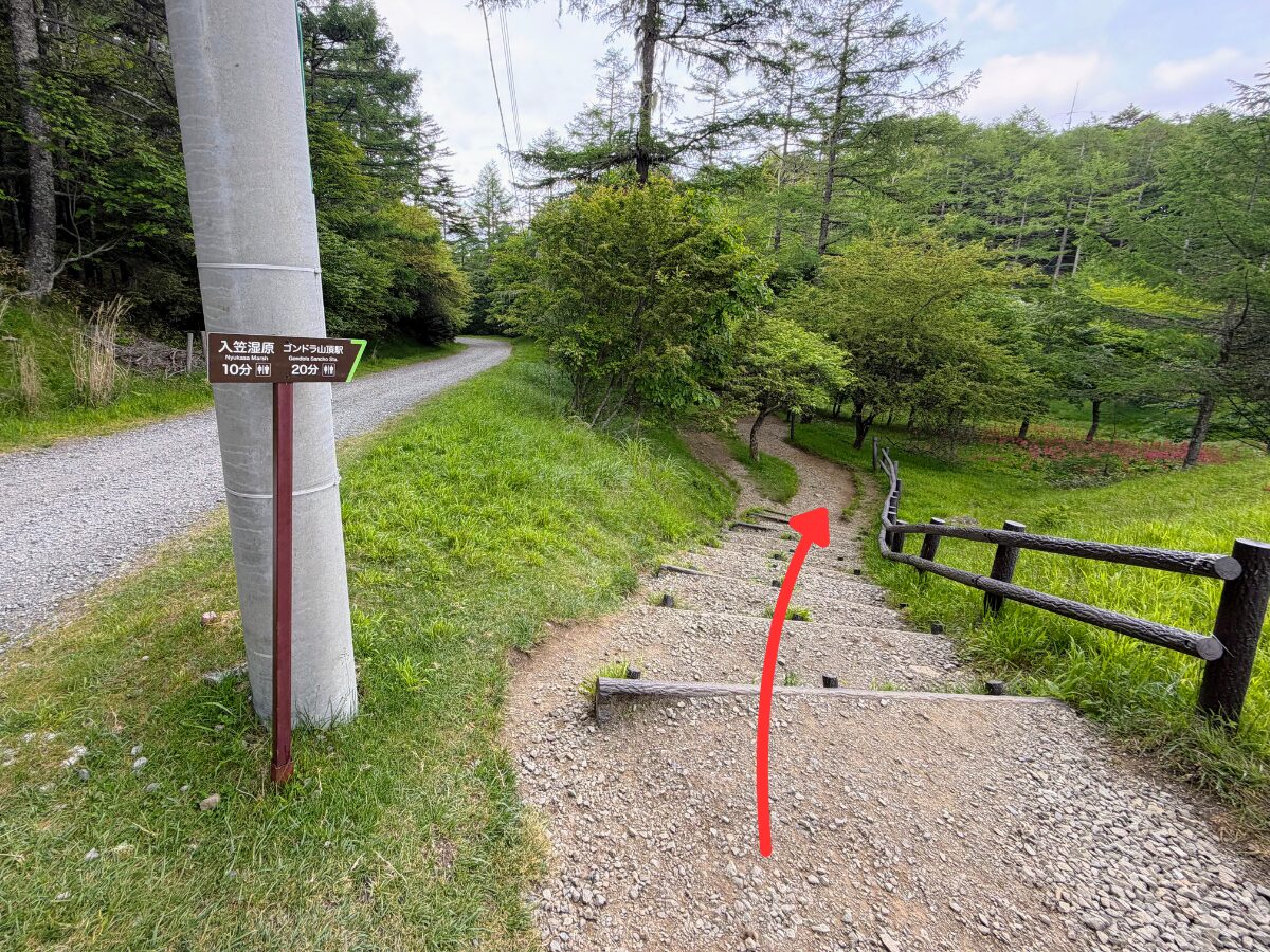 入笠山(マナスル山荘から入笠湿原)