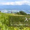 入笠山（ゴンドラ山頂駅～入笠山往復コース）