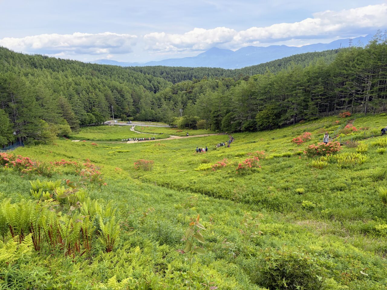 花畑(入笠山登山口)