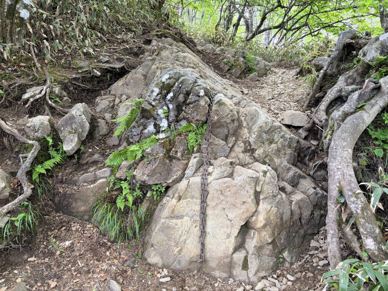 入笠山(花畑(入笠山登山口)から入笠山山頂)