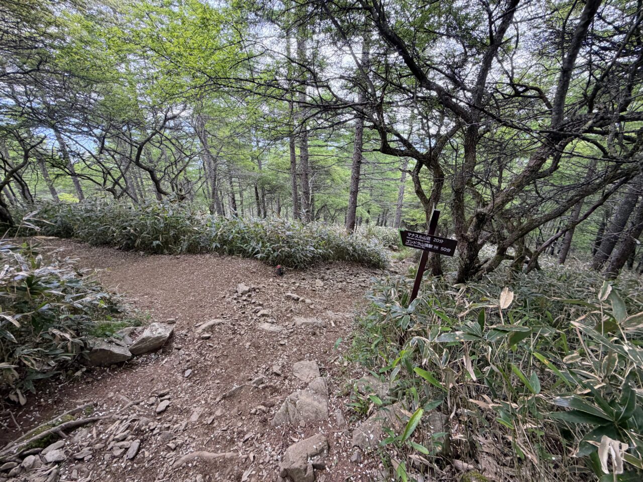 入笠山(入笠山山頂からマナスル山荘)