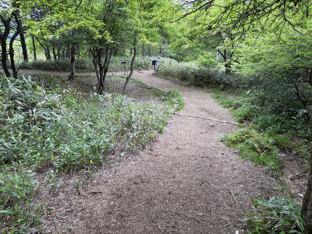 入笠山(入笠山山頂からマナスル山荘)