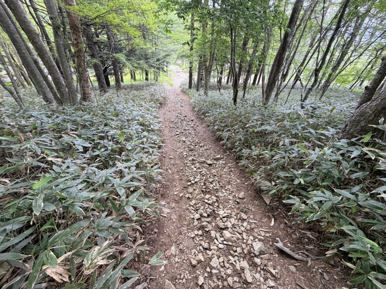 入笠山(入笠山山頂からマナスル山荘)