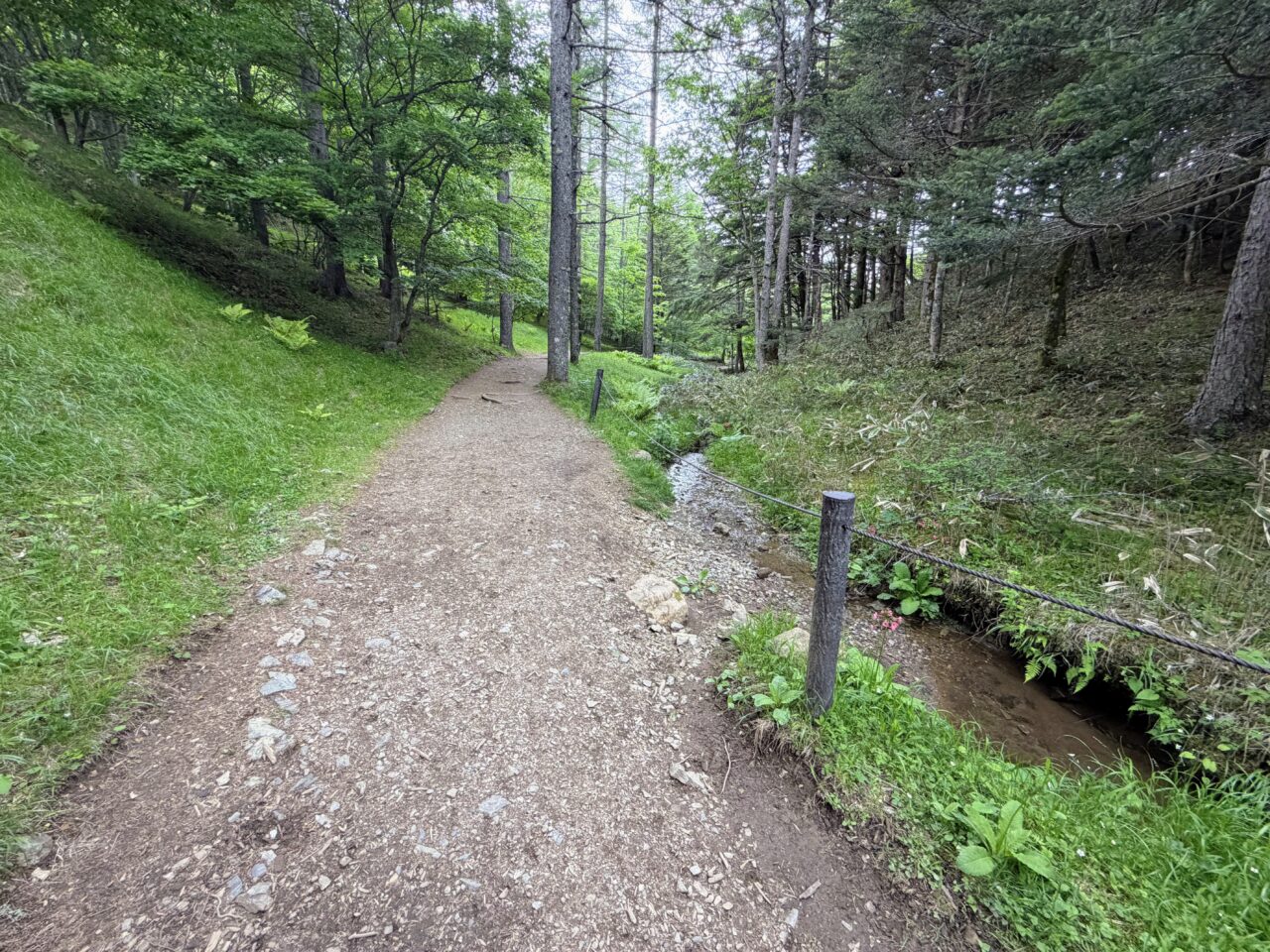 入笠山(マナスル山荘から入笠湿原)