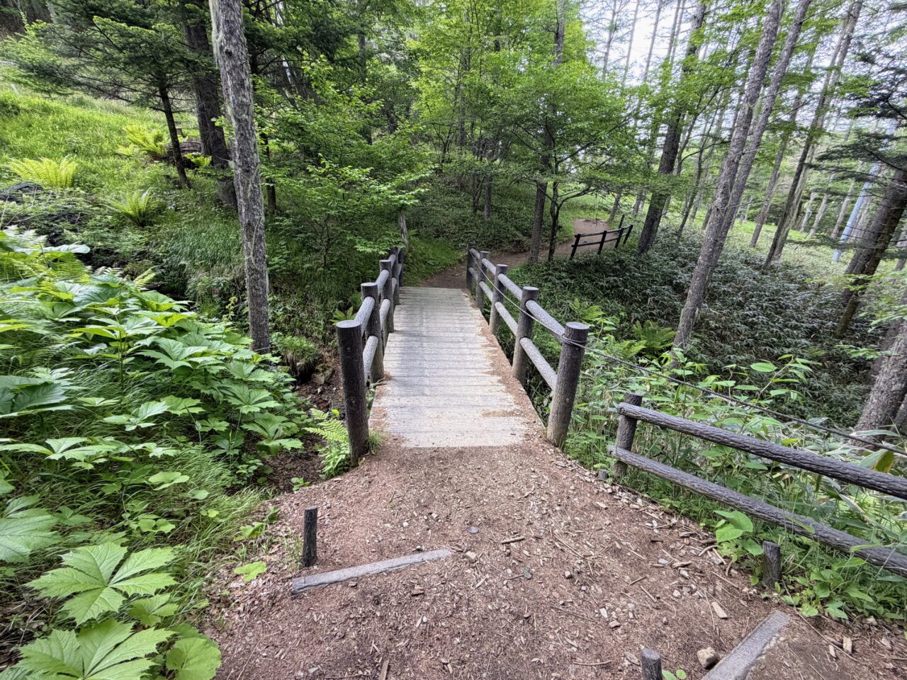 入笠山(マナスル山荘から入笠湿原)