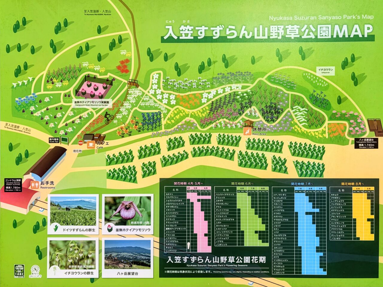 入笠すずらん山野草公園MAP