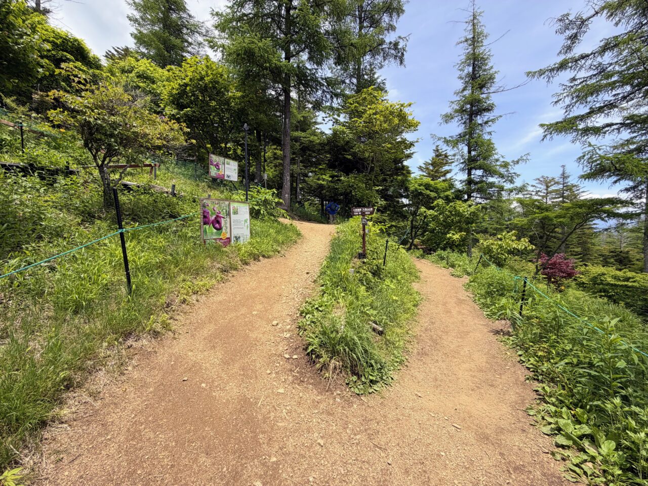 入笠山(入笠山ハイキングコース入口から入笠湿原)