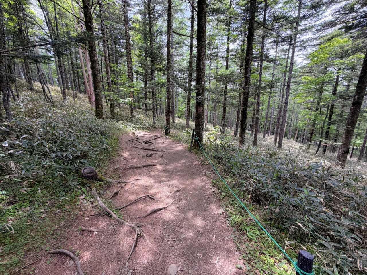 入笠山(入笠山ハイキングコース入口から入笠湿原)