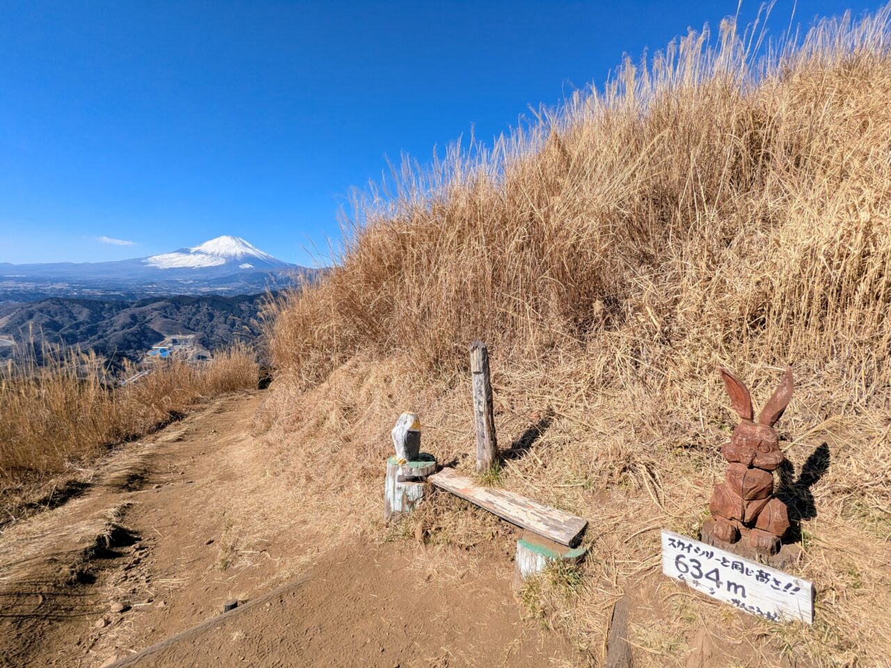 大野山（谷峨駅から大野山山頂）