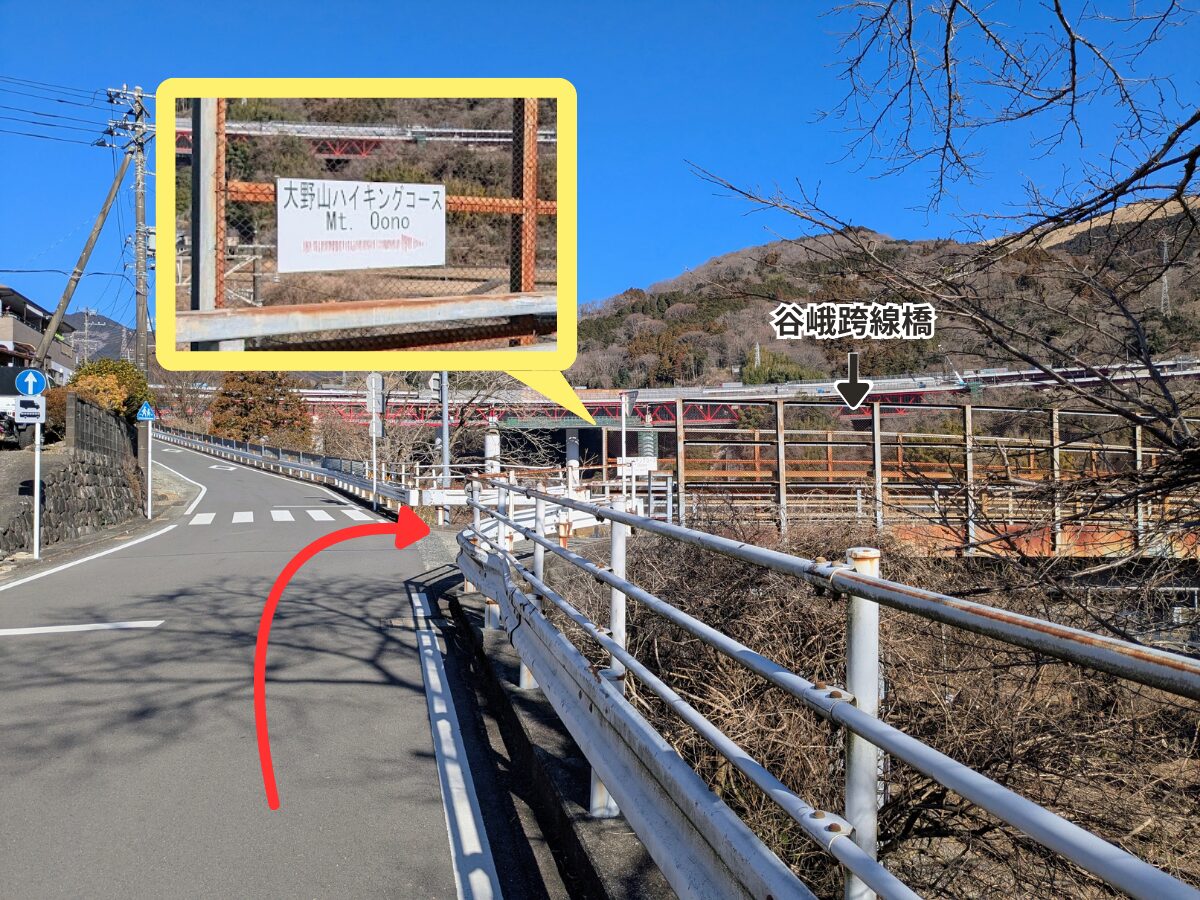 大野山（谷峨駅から大野山山頂）