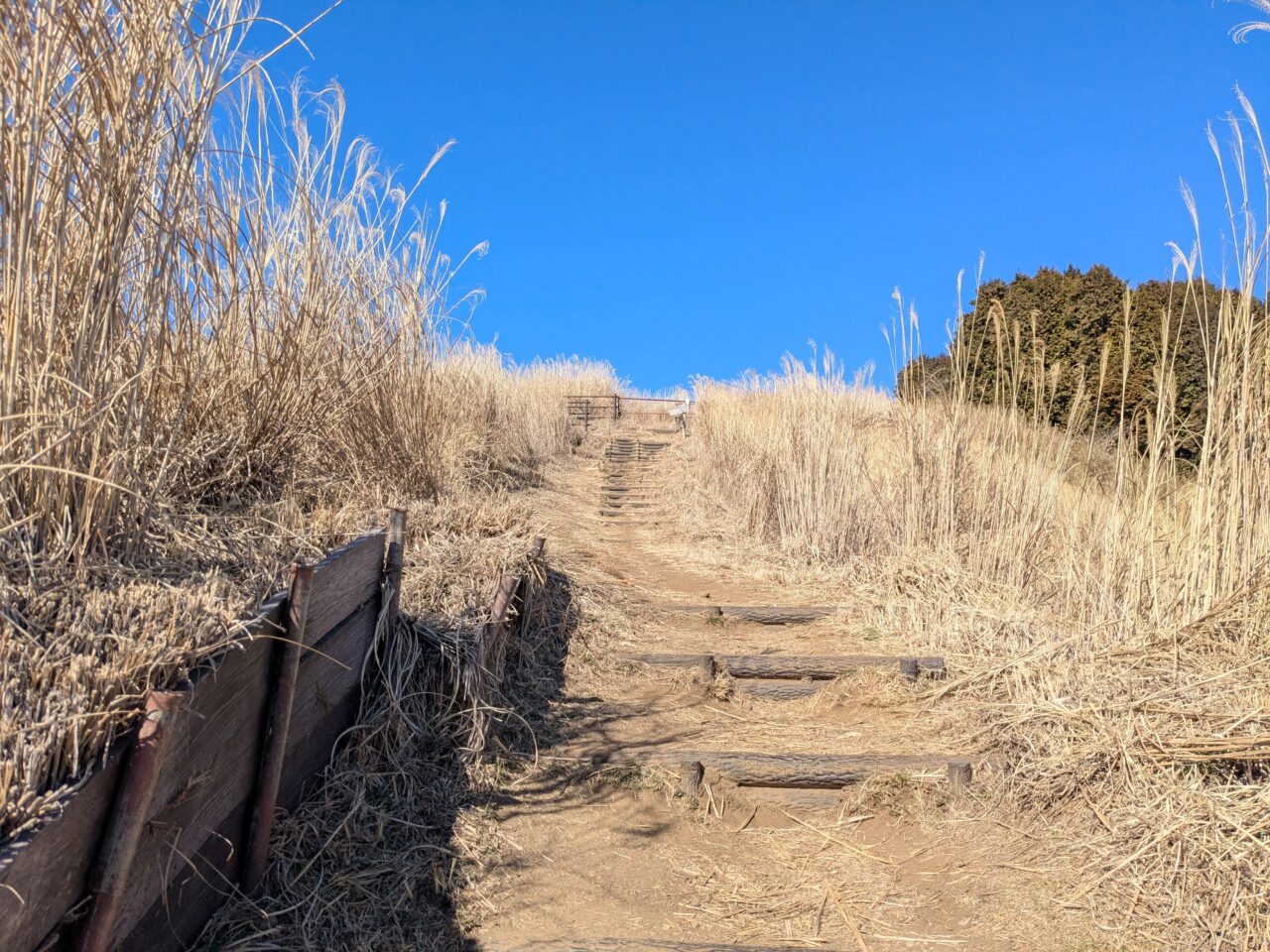 大野山（谷峨駅から大野山山頂）