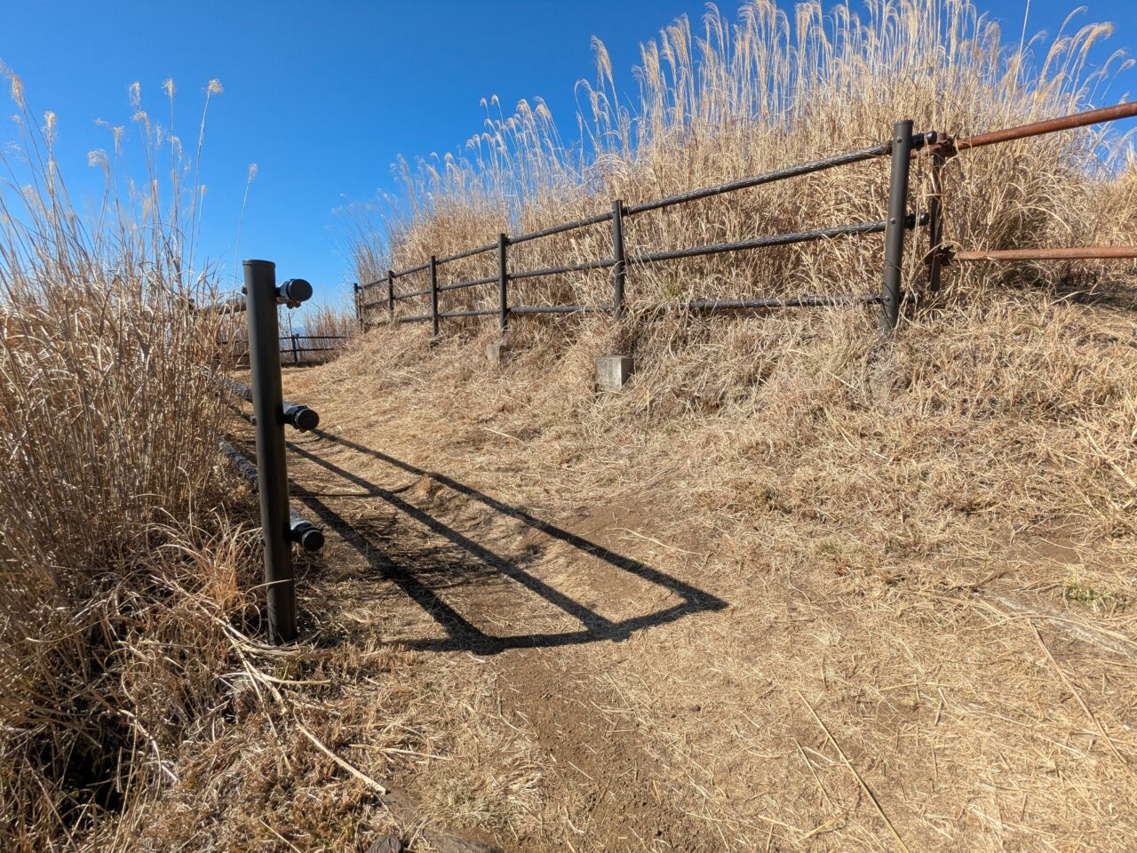 大野山（谷峨駅から大野山山頂）
