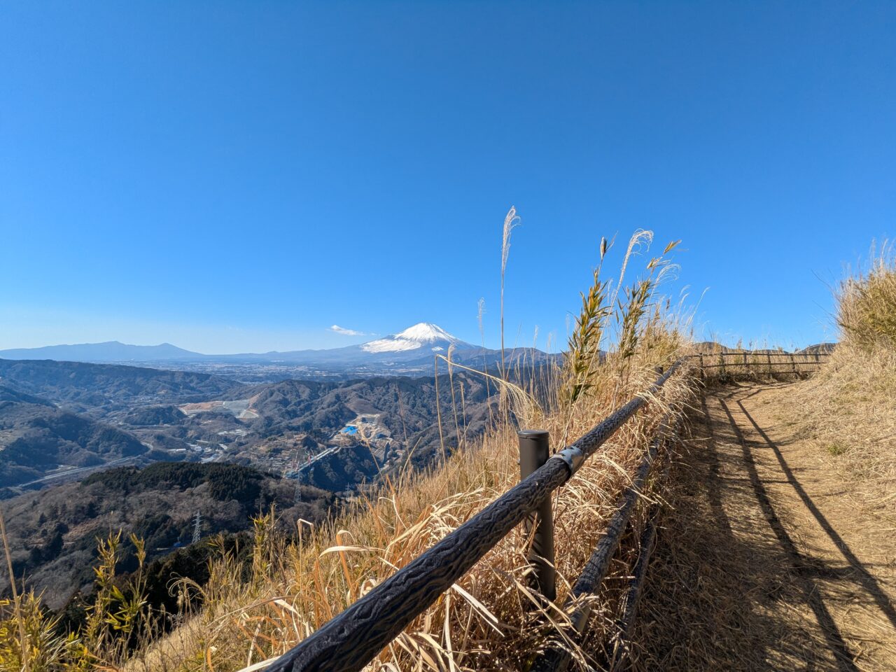 大野山（谷峨駅から大野山山頂）