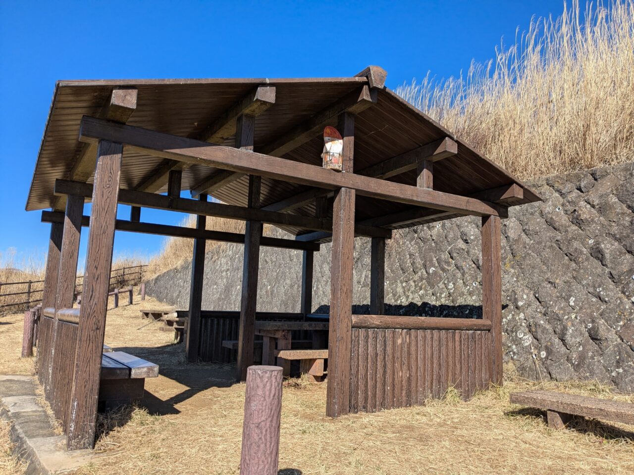 大野山（谷峨駅から大野山山頂）
