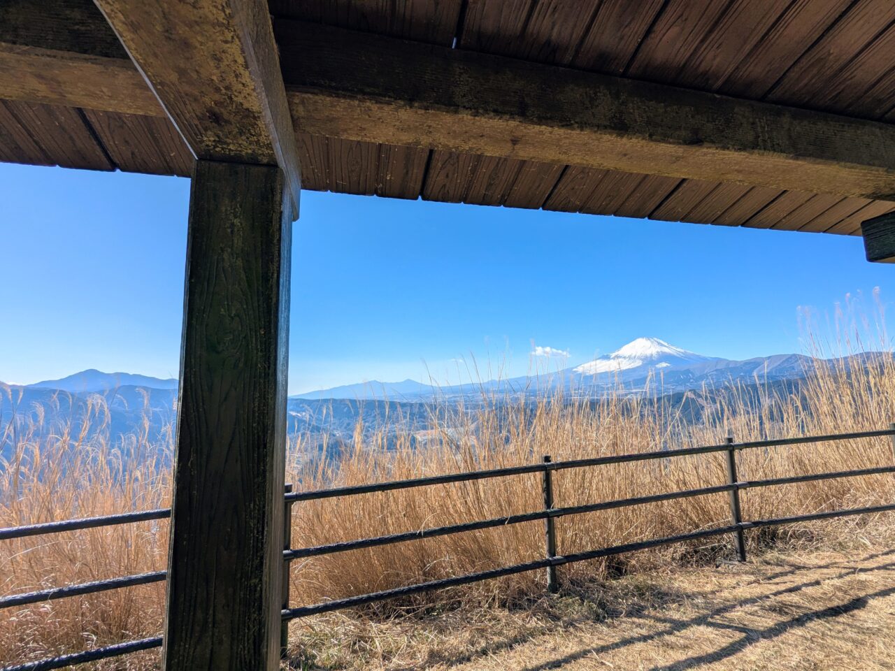 大野山（谷峨駅から大野山山頂）
