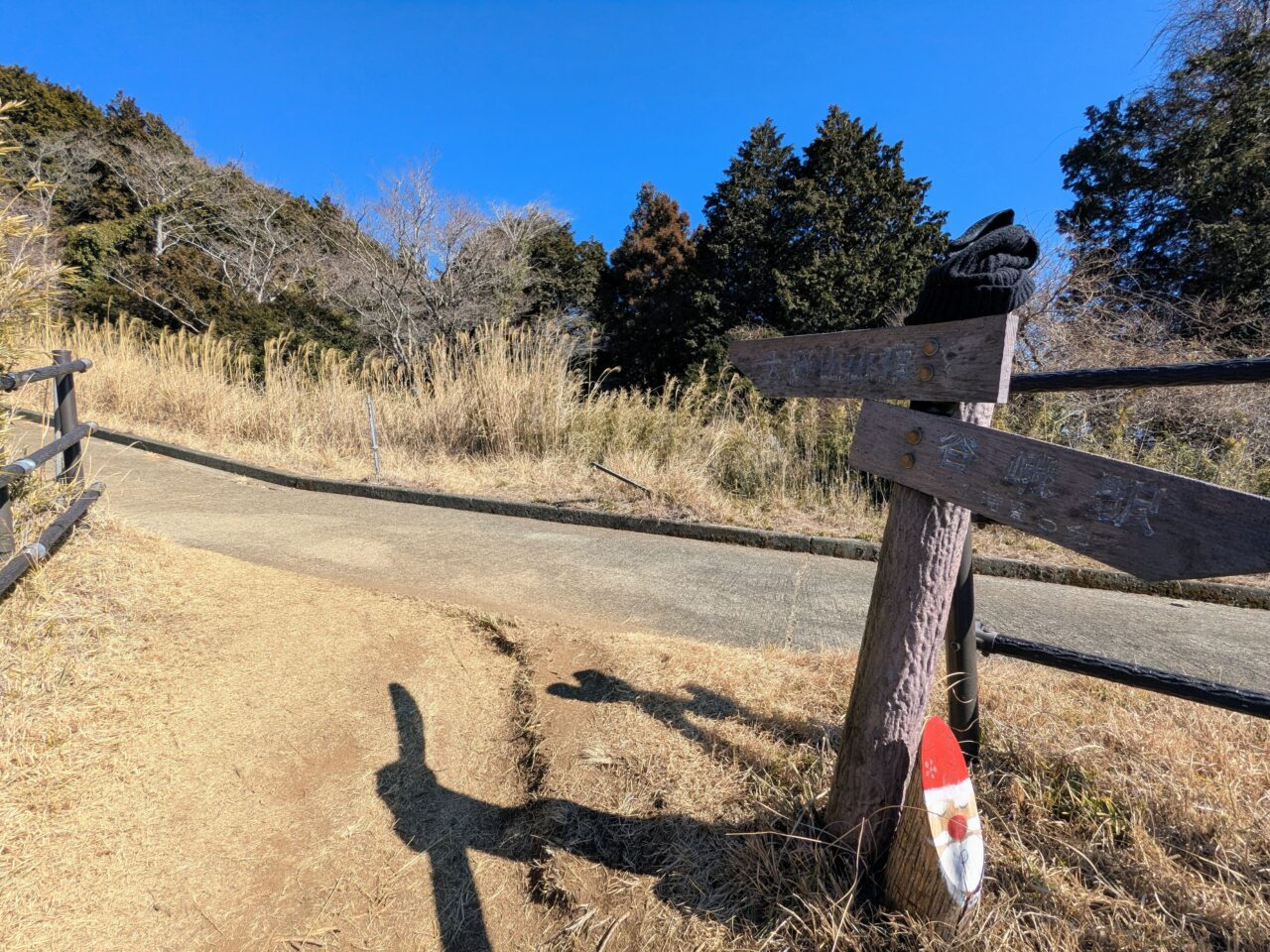 大野山（谷峨駅から大野山山頂）