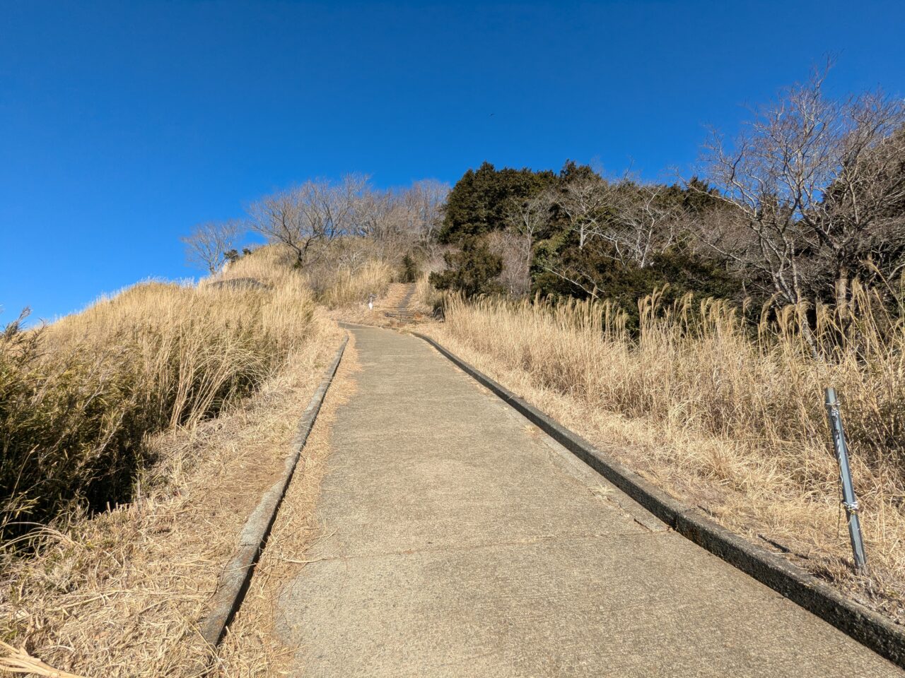 大野山（谷峨駅から大野山山頂）