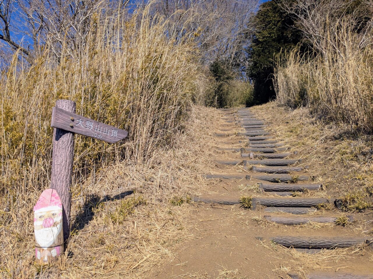 大野山（谷峨駅から大野山山頂）