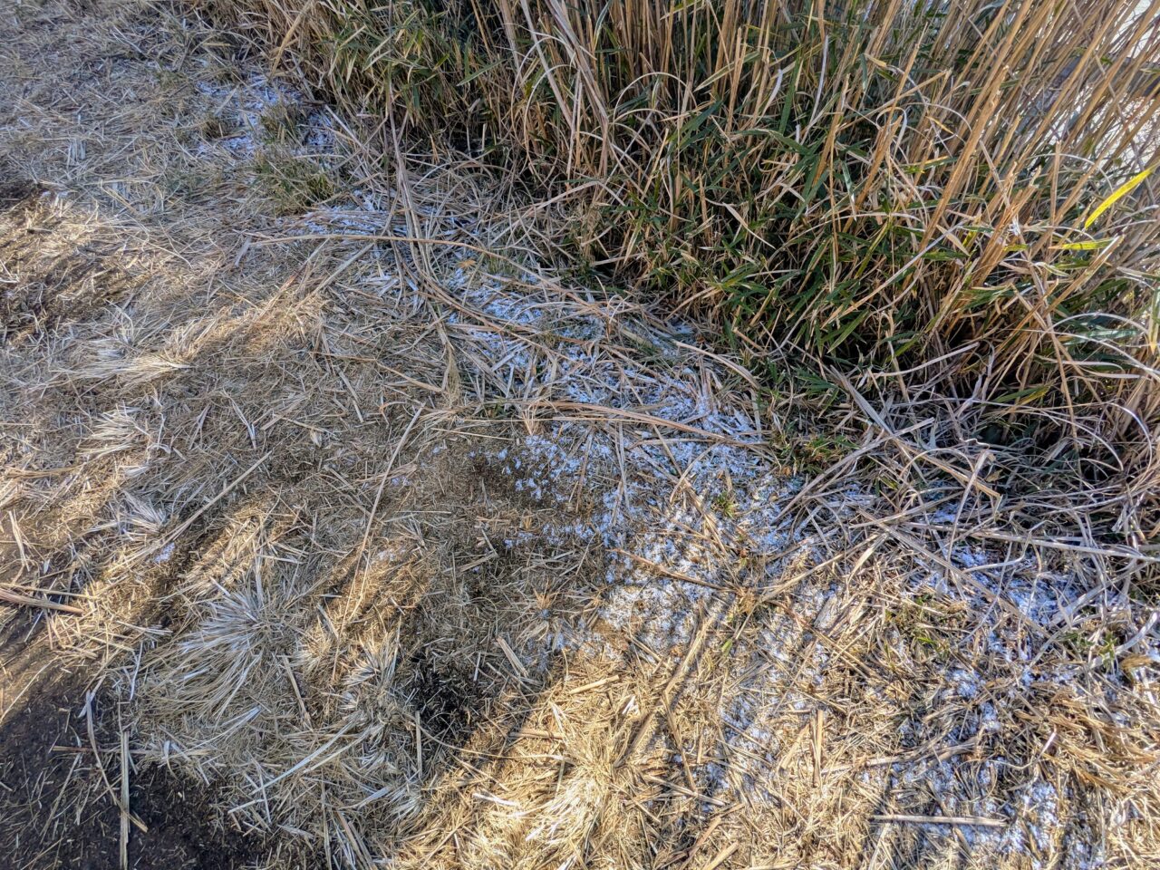 大野山（谷峨駅から大野山山頂）