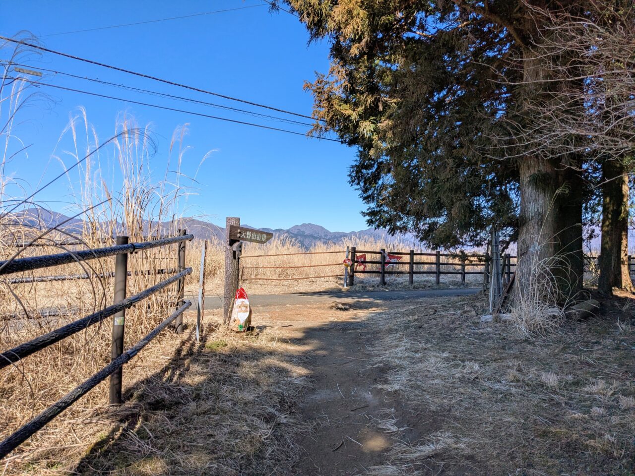 大野山（谷峨駅から大野山山頂）
