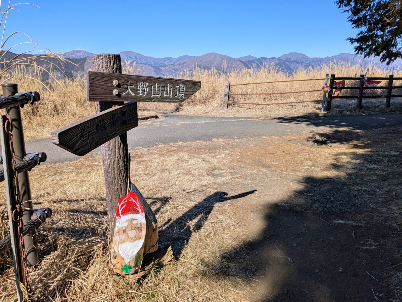 大野山のチェンソーアート