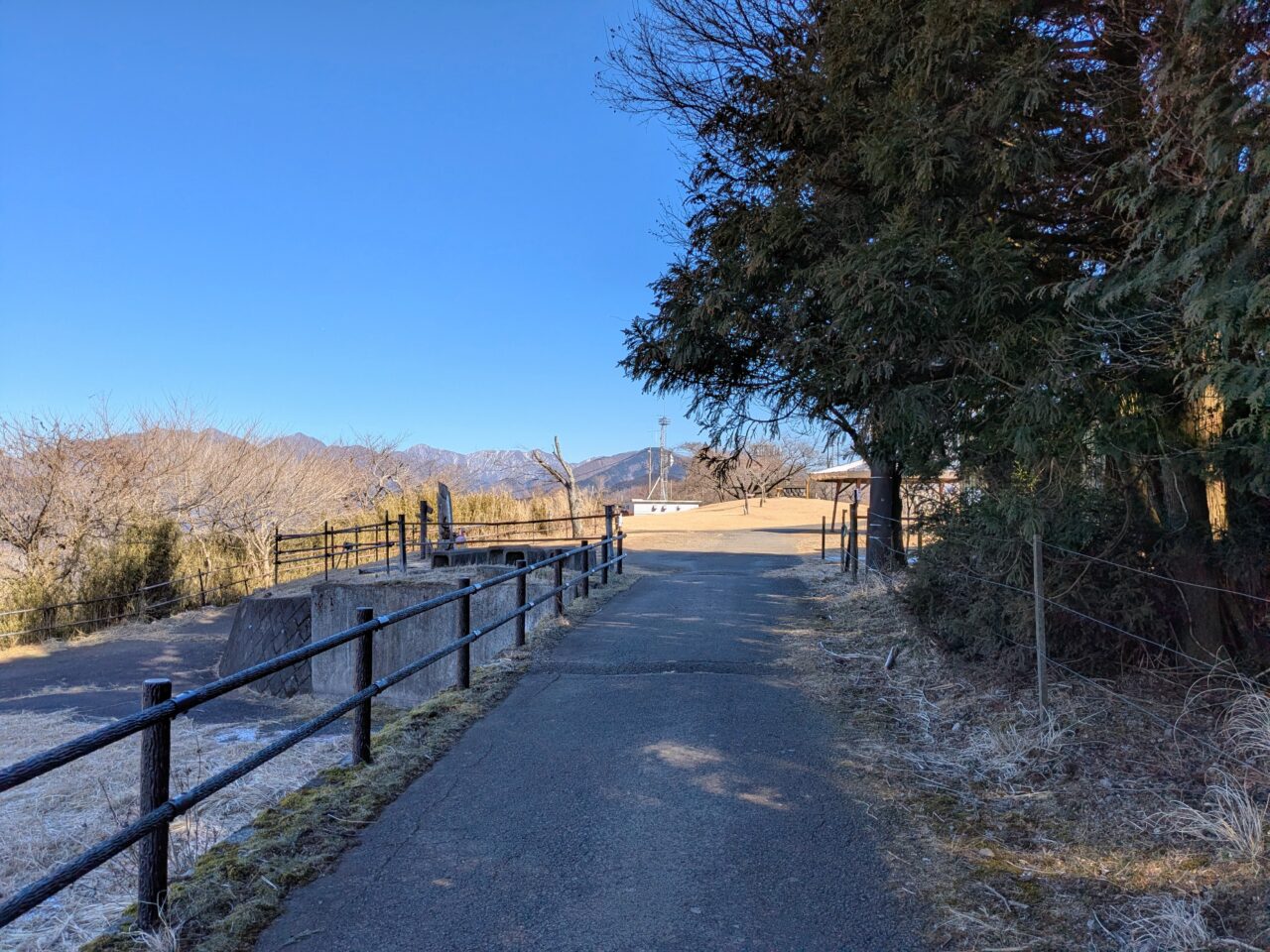 大野山（谷峨駅から大野山山頂）