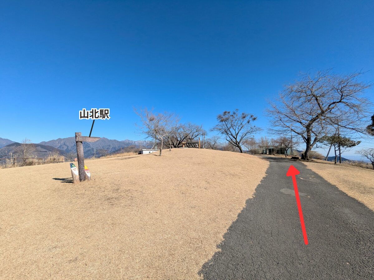 大野山（大野山山頂から山北駅）