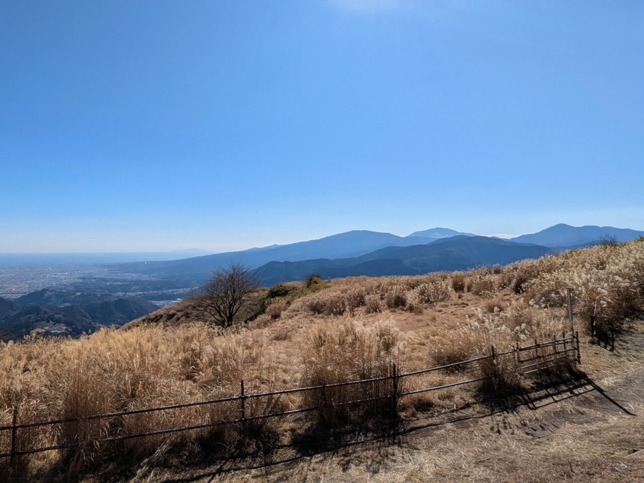 大野山山頂からの景色