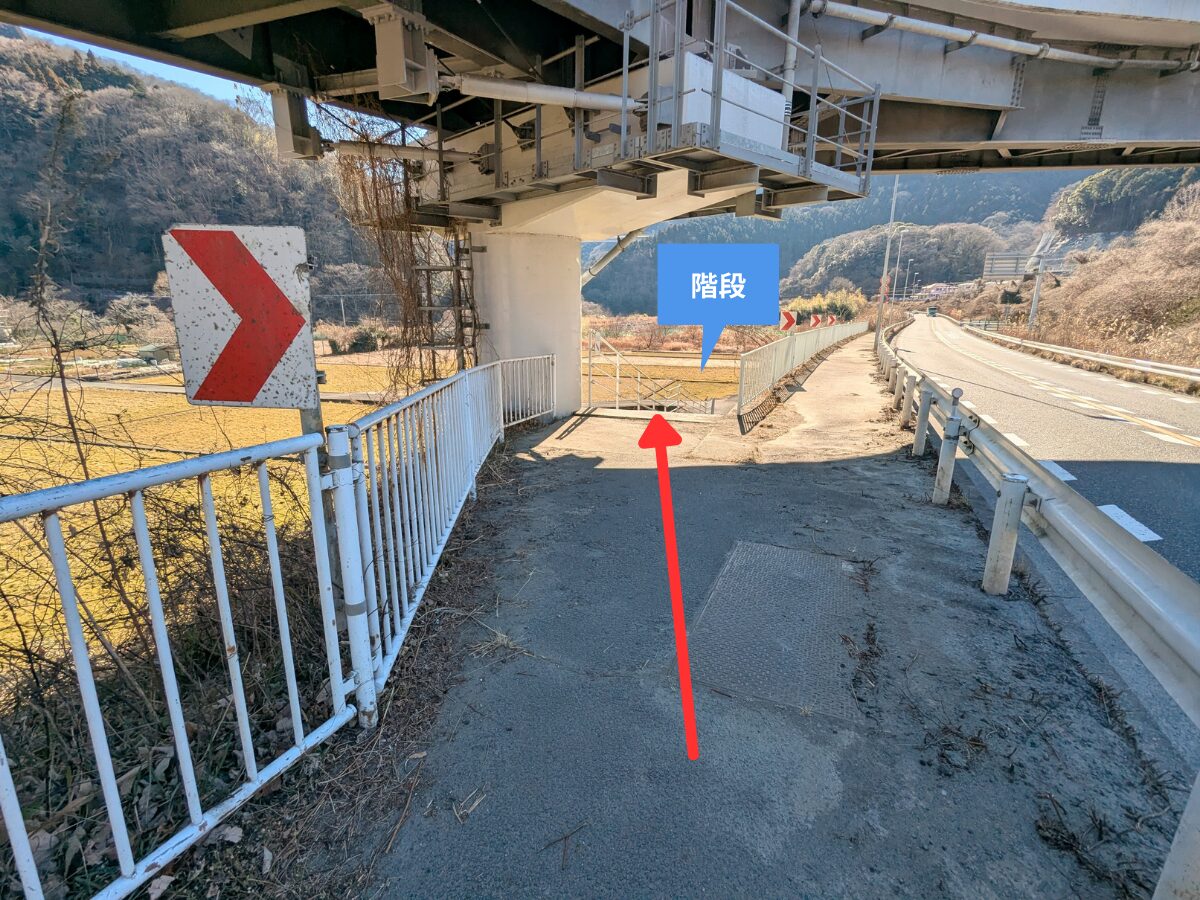 大野山（谷峨駅から大野山山頂）