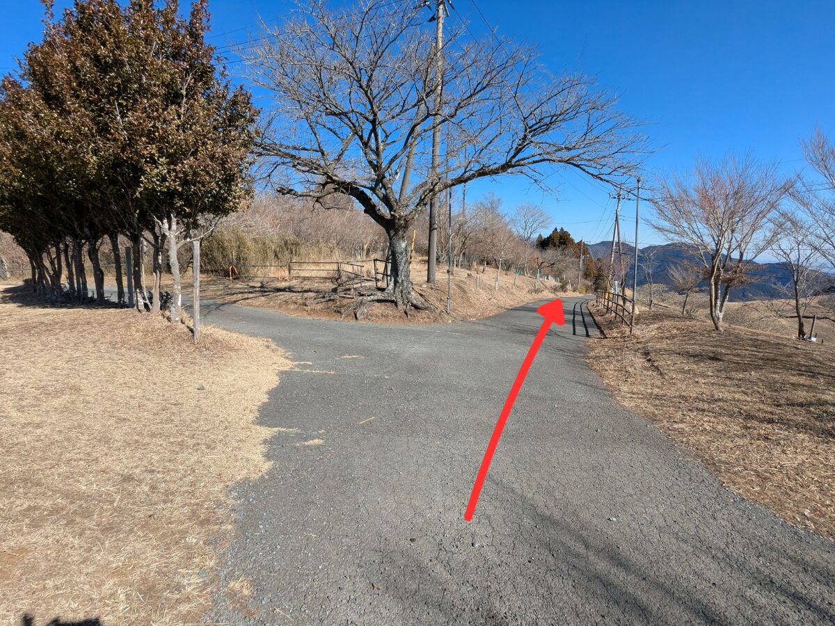 大野山（大野山山頂から山北駅）