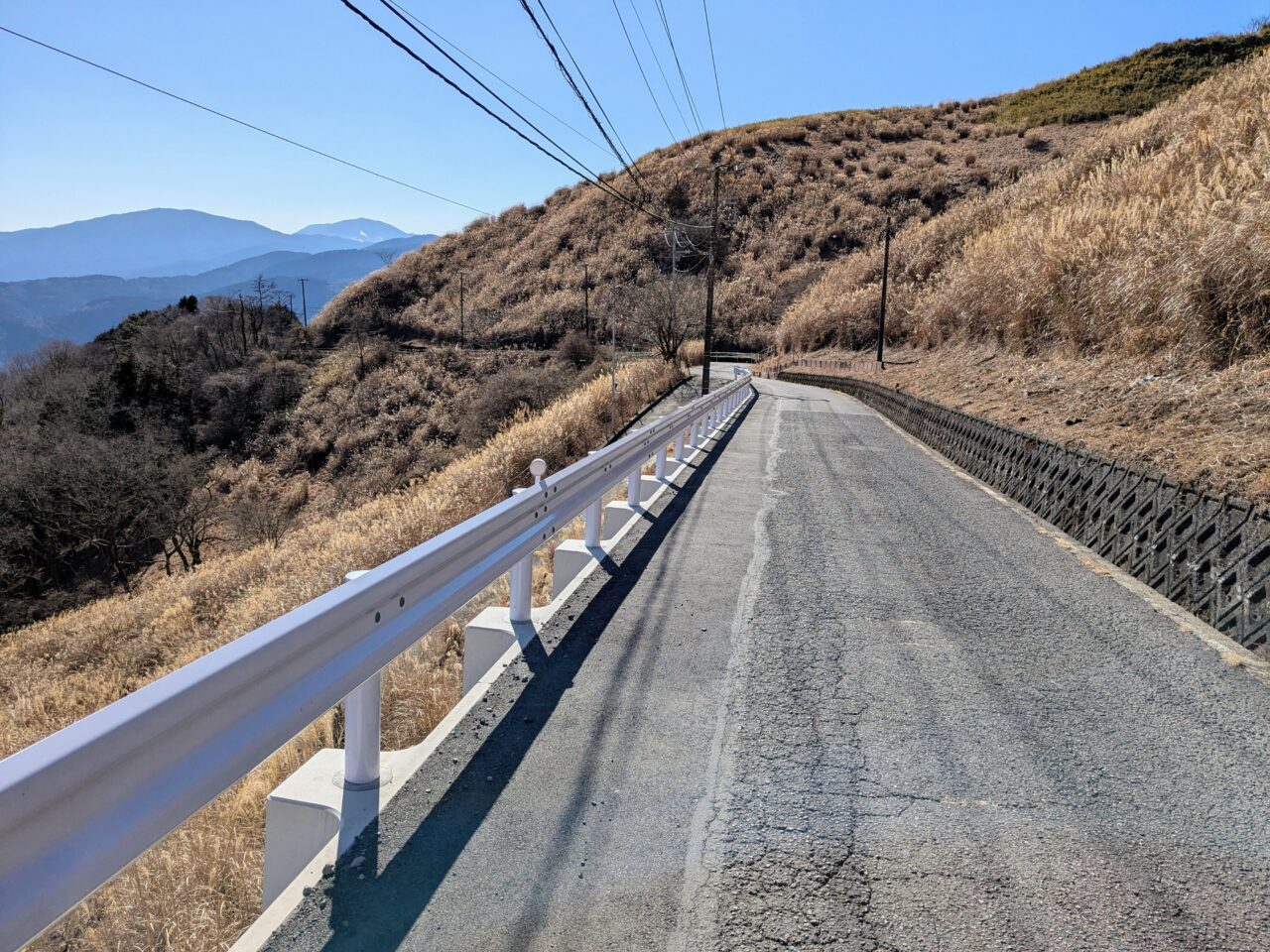 大野山（大野山山頂から山北駅）