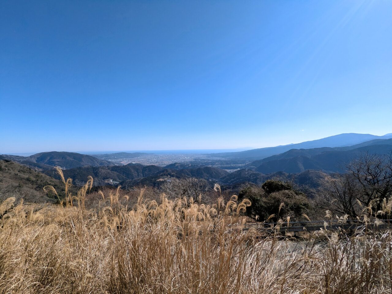 大野山（大野山山頂から山北駅）
