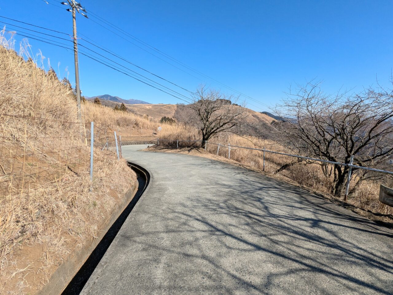 大野山（大野山山頂から山北駅）