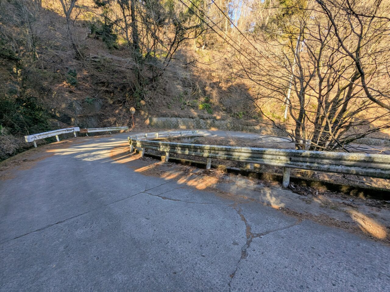 大野山（大野山山頂から山北駅）