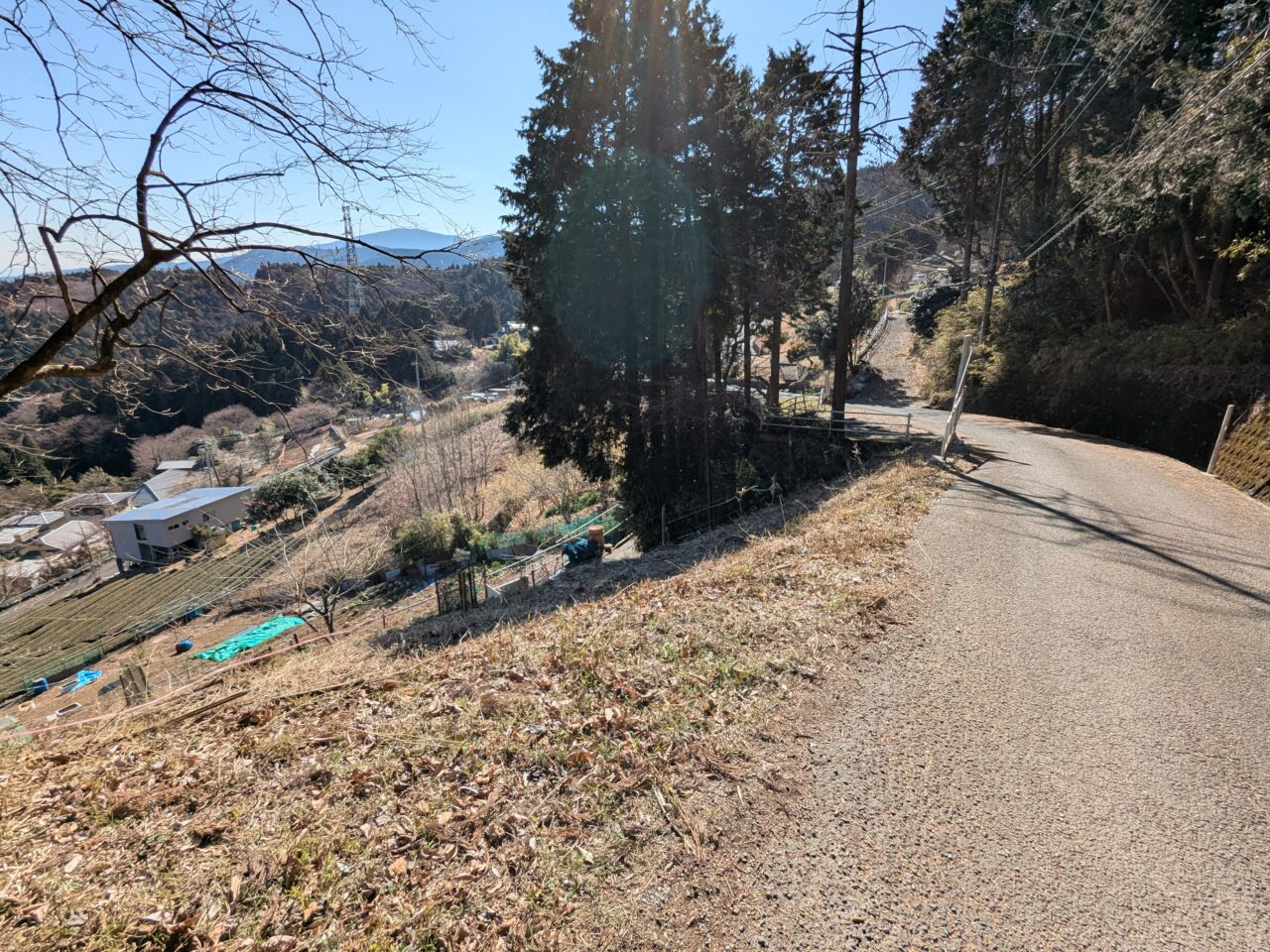 大野山（大野山山頂から山北駅）