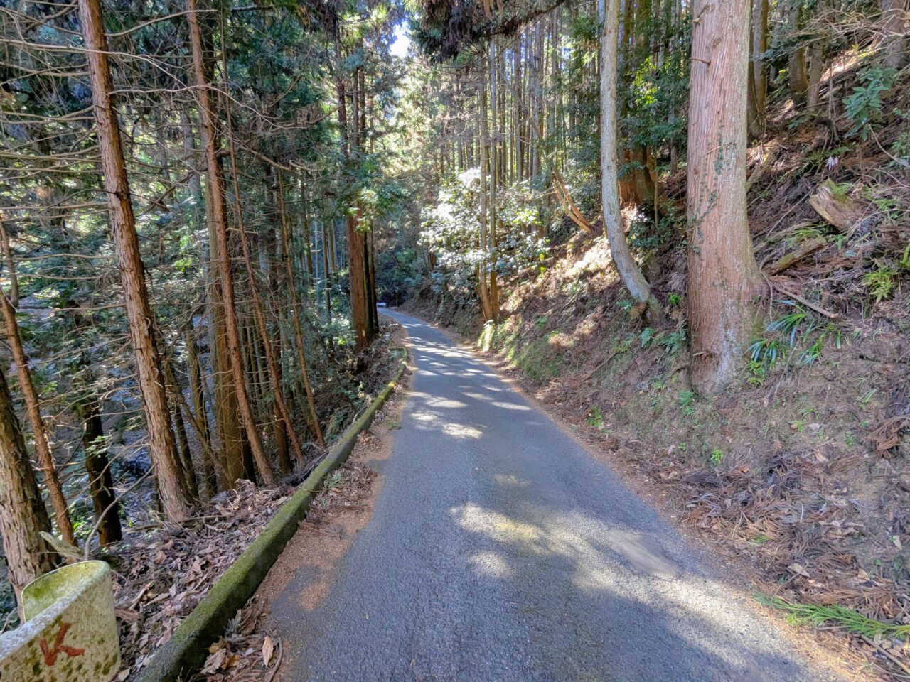 大野山（大野山山頂から山北駅）