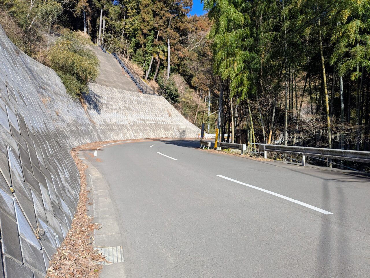大野山（大野山山頂から山北駅）