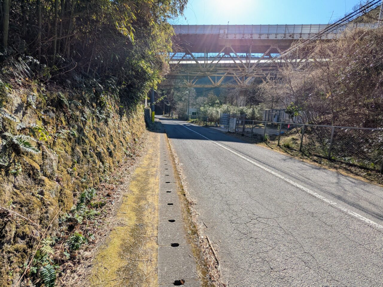 大野山（大野山山頂から山北駅）