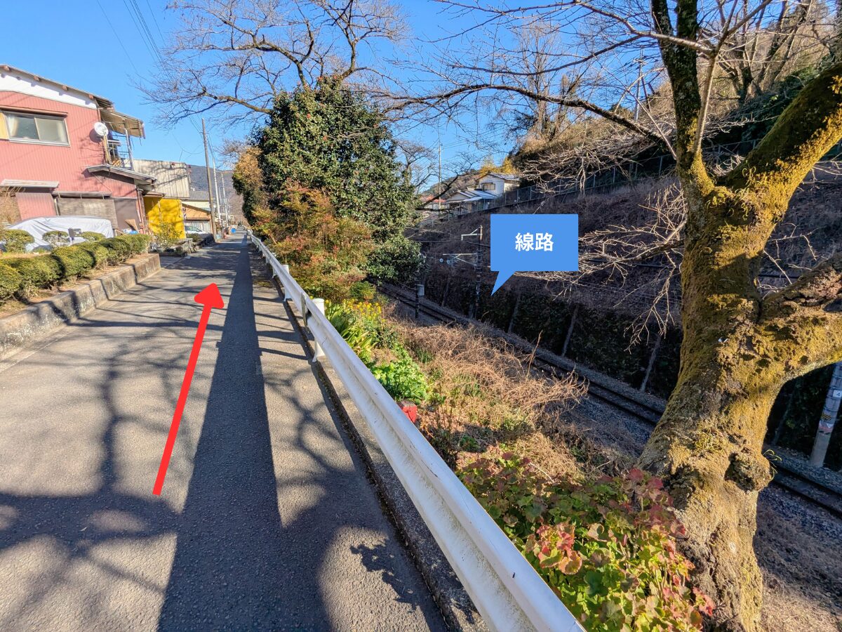 大野山（大野山山頂から山北駅）