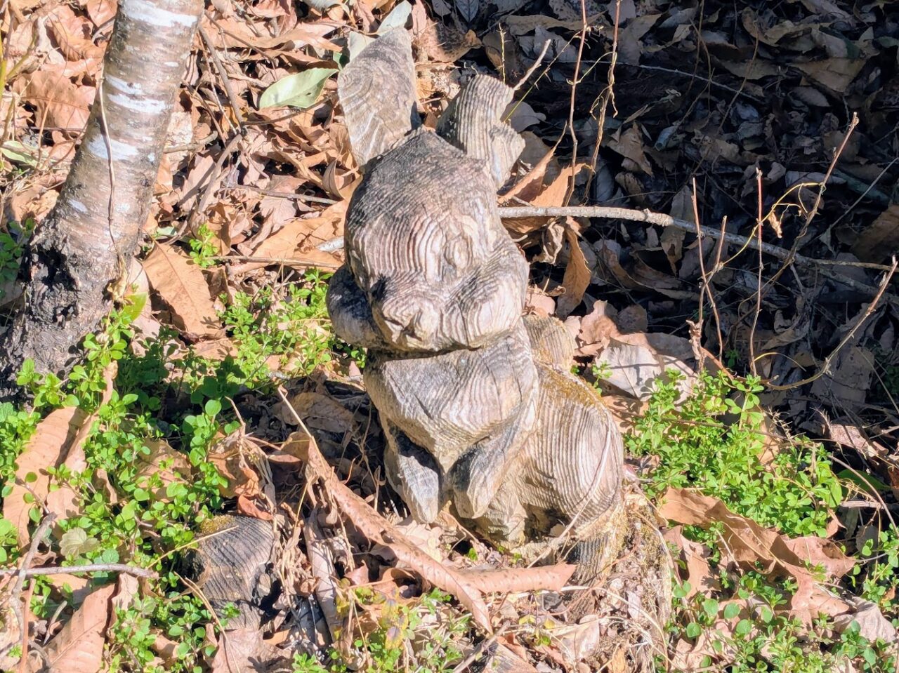 大野山のチェンソーアート